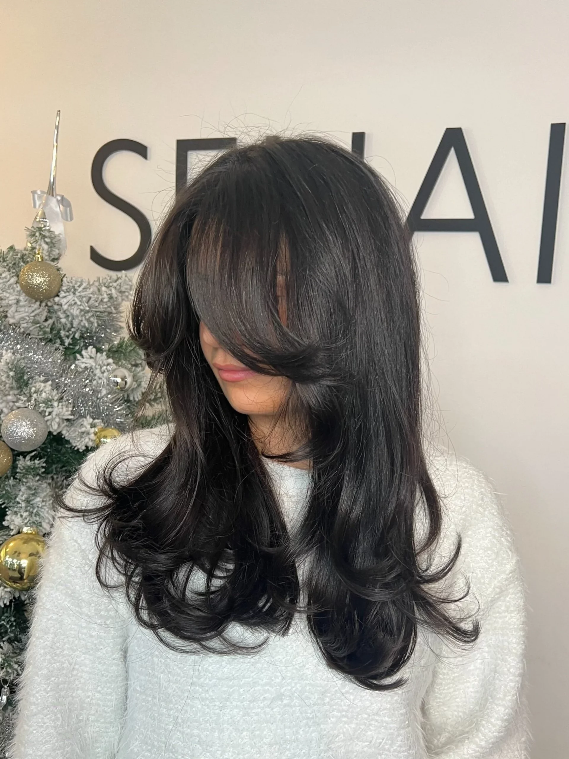 Glossy Deepest Black With Dark Chocolate Lowlights Glossy Deepest Black With Dark Chocolate Lowlights β Dark Winter Hair Colors