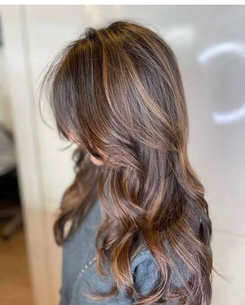 Dark Brown With Caramel Highlights Visual Idea Dark Brown With Caramel Highlights Visual Idea β Low Maintenance Winter Haircuts