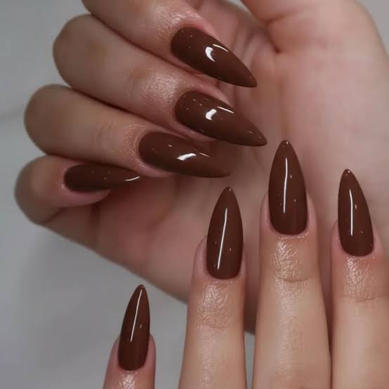Dark Glossy Brown Long Stiletto Dark Glossy Brown Long Stiletto β Old Money Winter Nails