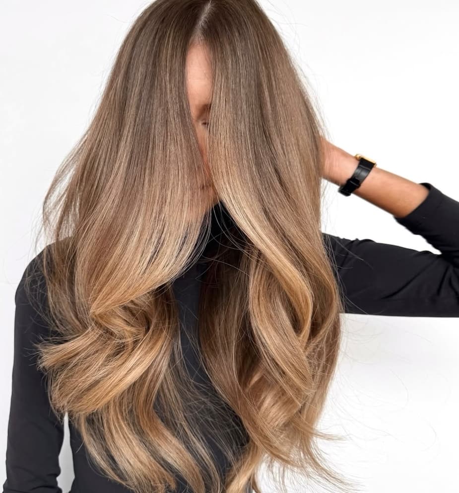 Front View Visual Idea — Fall to Winter Hair Colors