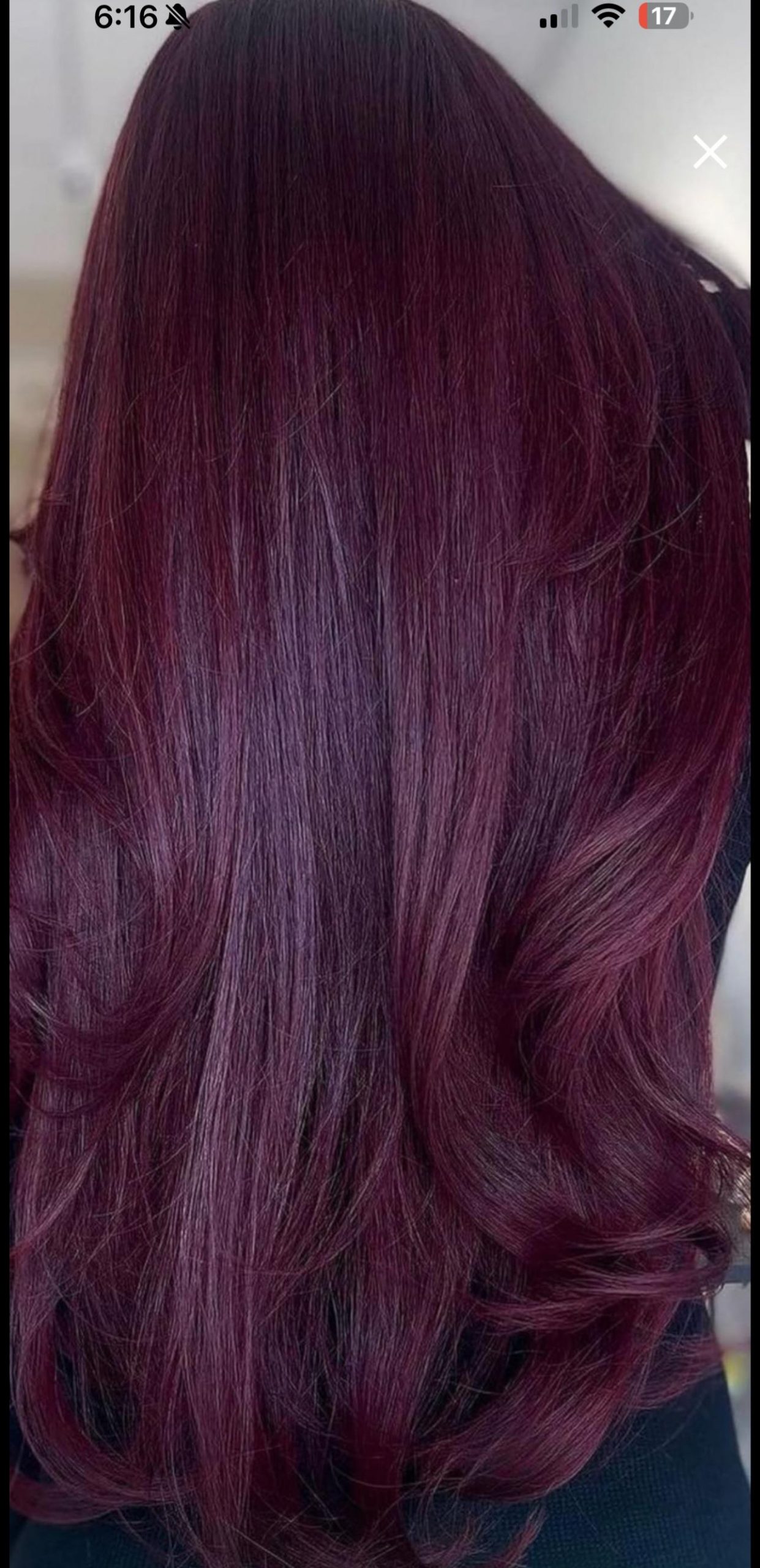 Long Deep Burgundy With Violet Undertones — Burgundy Hair Color
