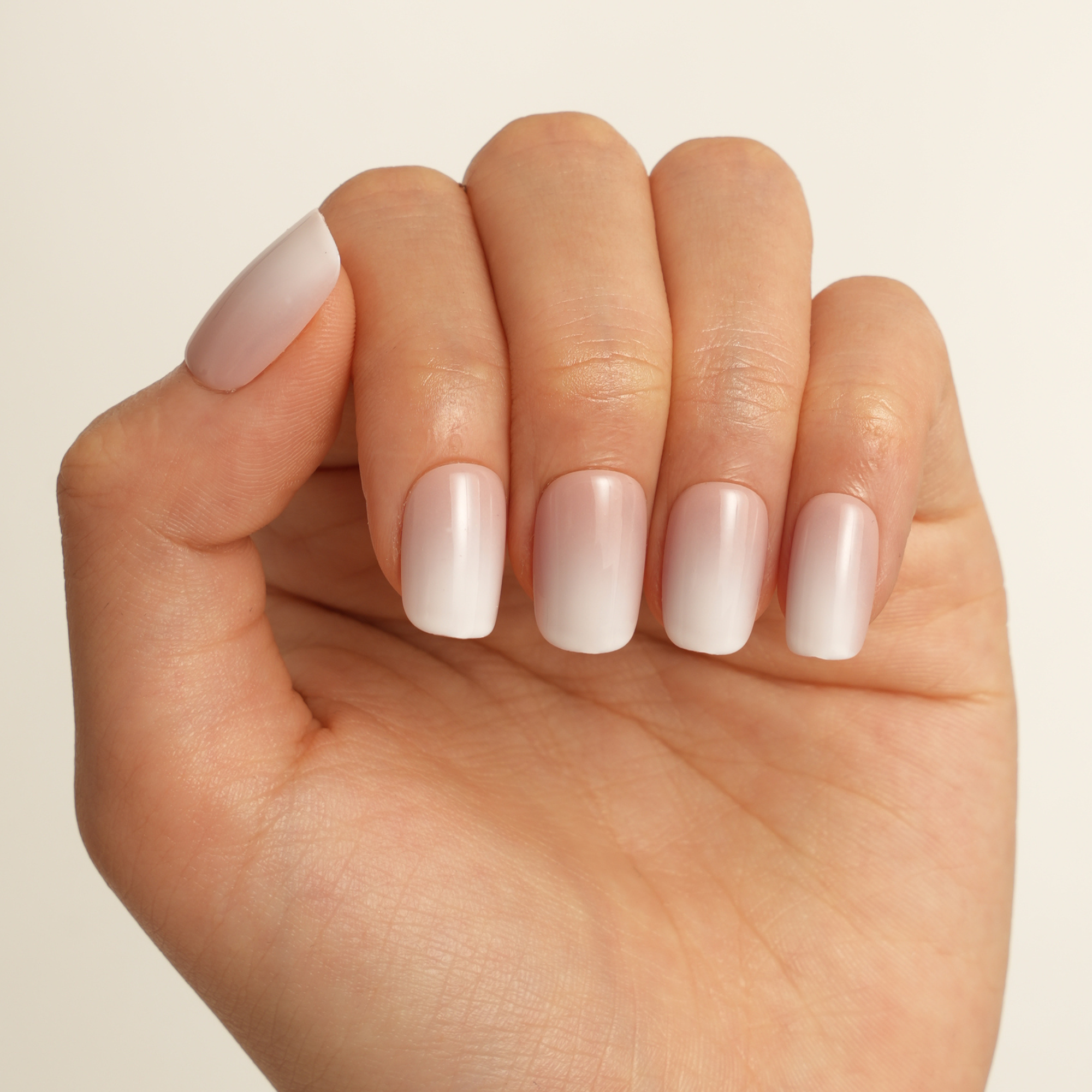 French Ombre Gradient Visual Idea — Natural Winter Nails