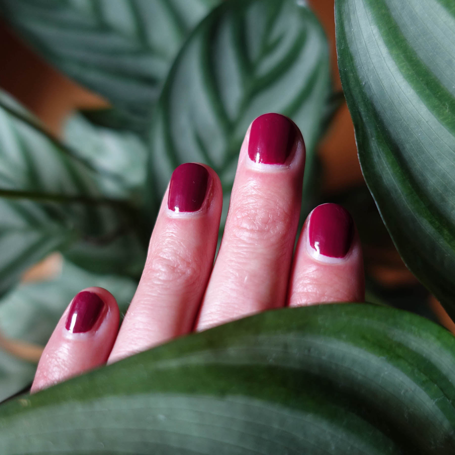 Visible Visual Idea — Winter Gel Nail Colors