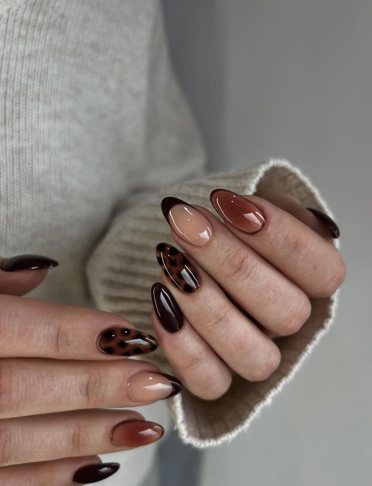 Tortoiseshell & Gradient French Tips — Fall to Winter Nails