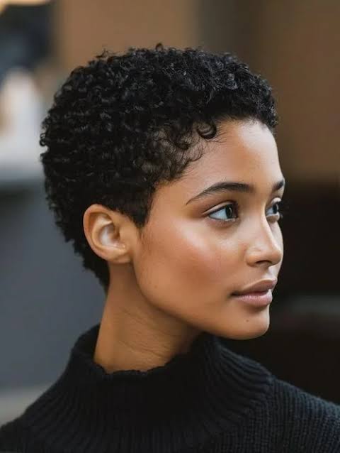 Short Black Pixie with Defined Curls Short Black Pixie with Defined Curls β Winter Haircuts for Women