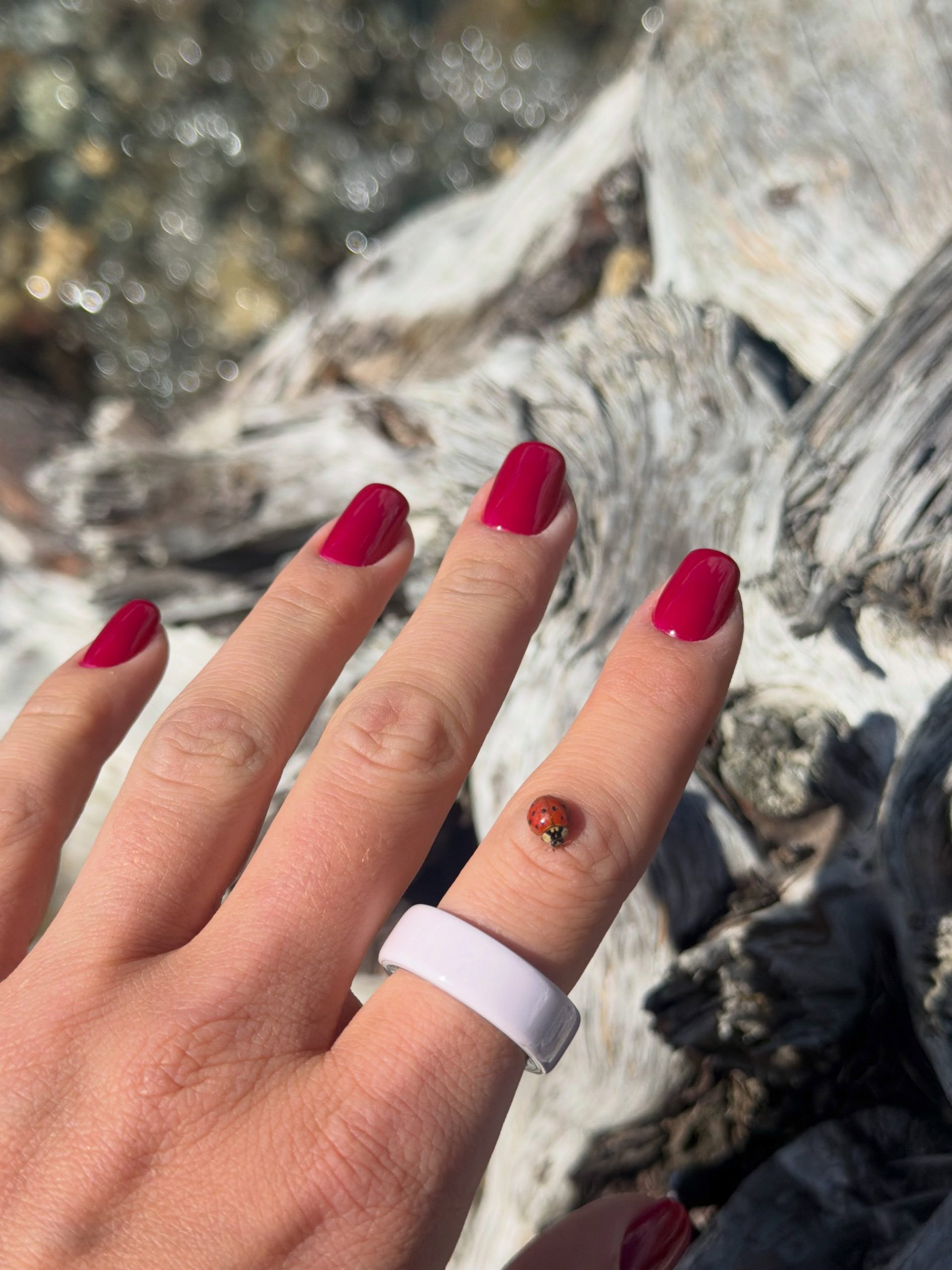 Vibrant Berry Red Visual Idea Vibrant Berry Red Visual Idea β Short Winter Oval Nails