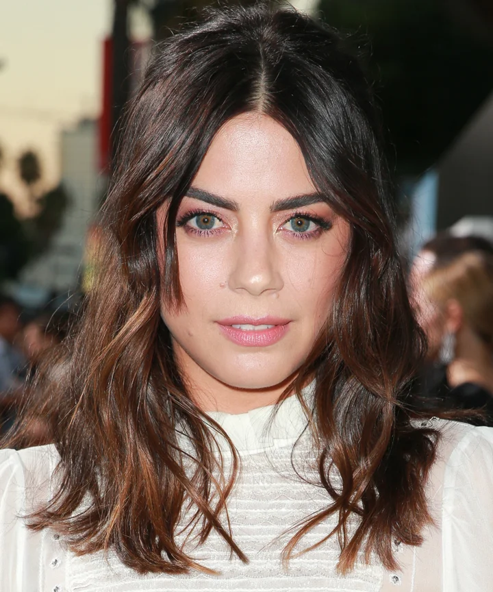 Dark Brown With Ash Highlights & Lowlights — Winter Highlights
