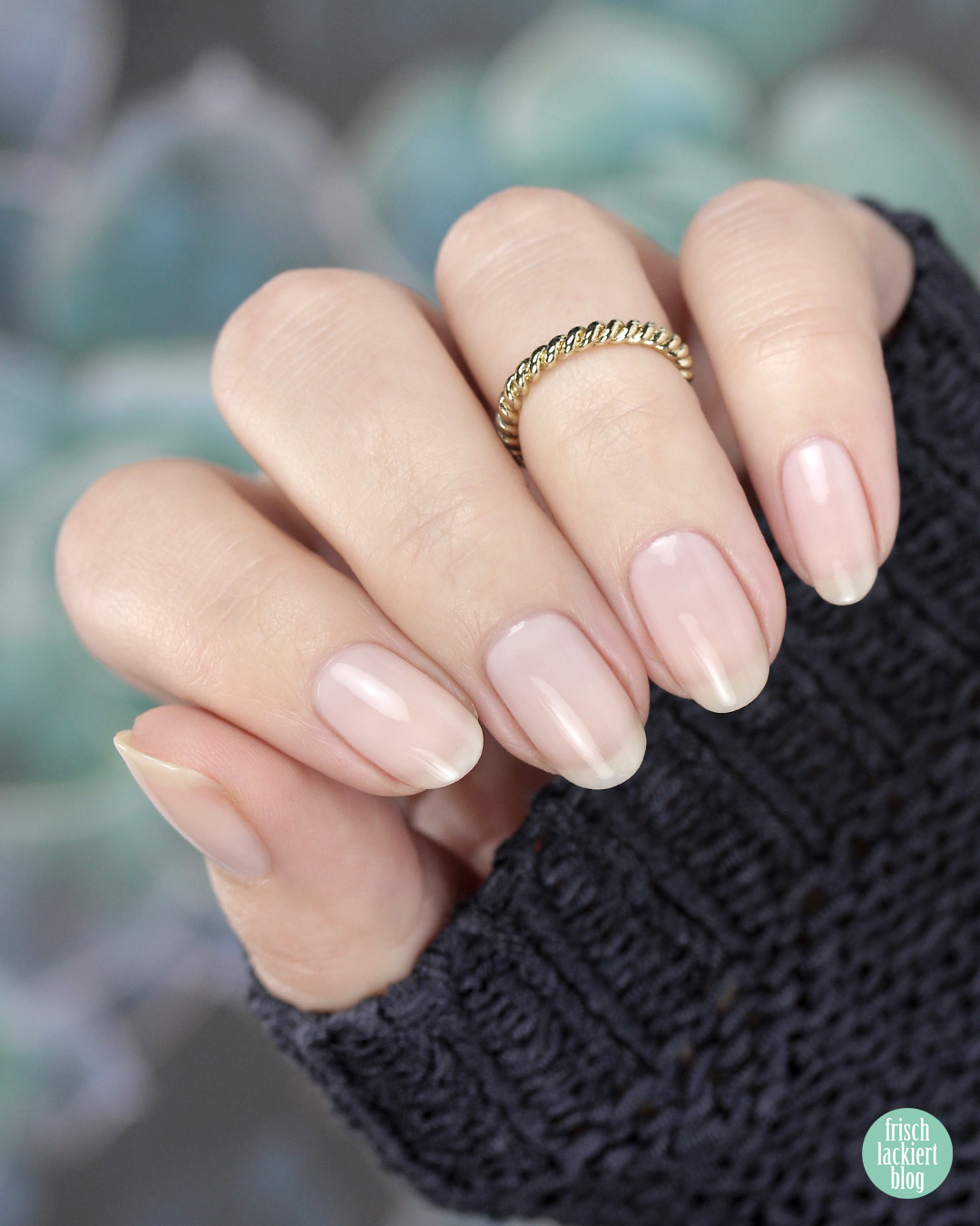 Sheer Pale Pink Oval Everyday — Natural Winter Nails