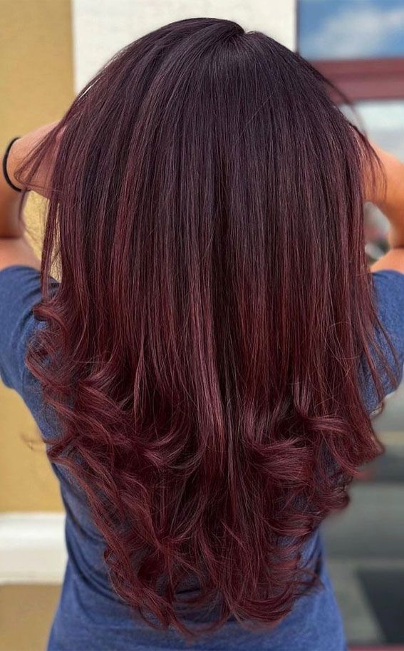 Back View Visual Idea Back View Visual Idea β Cherry Cola Hair Color