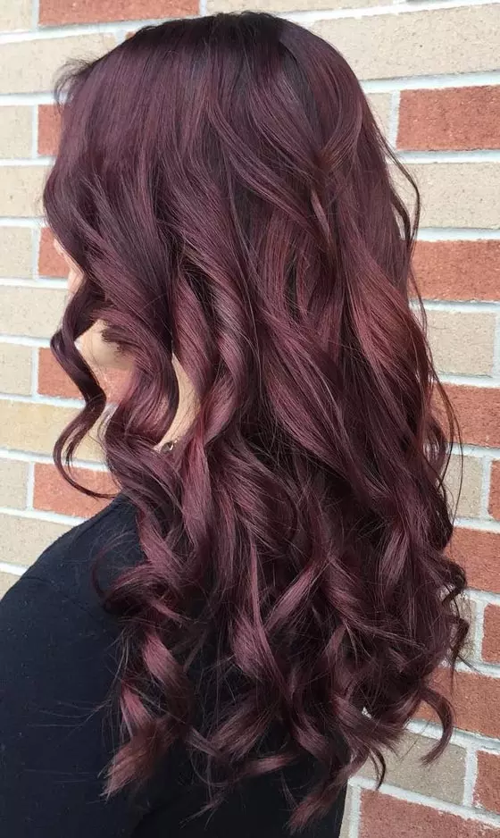Mid-Back Visual Idea — Mahogany Hair Color