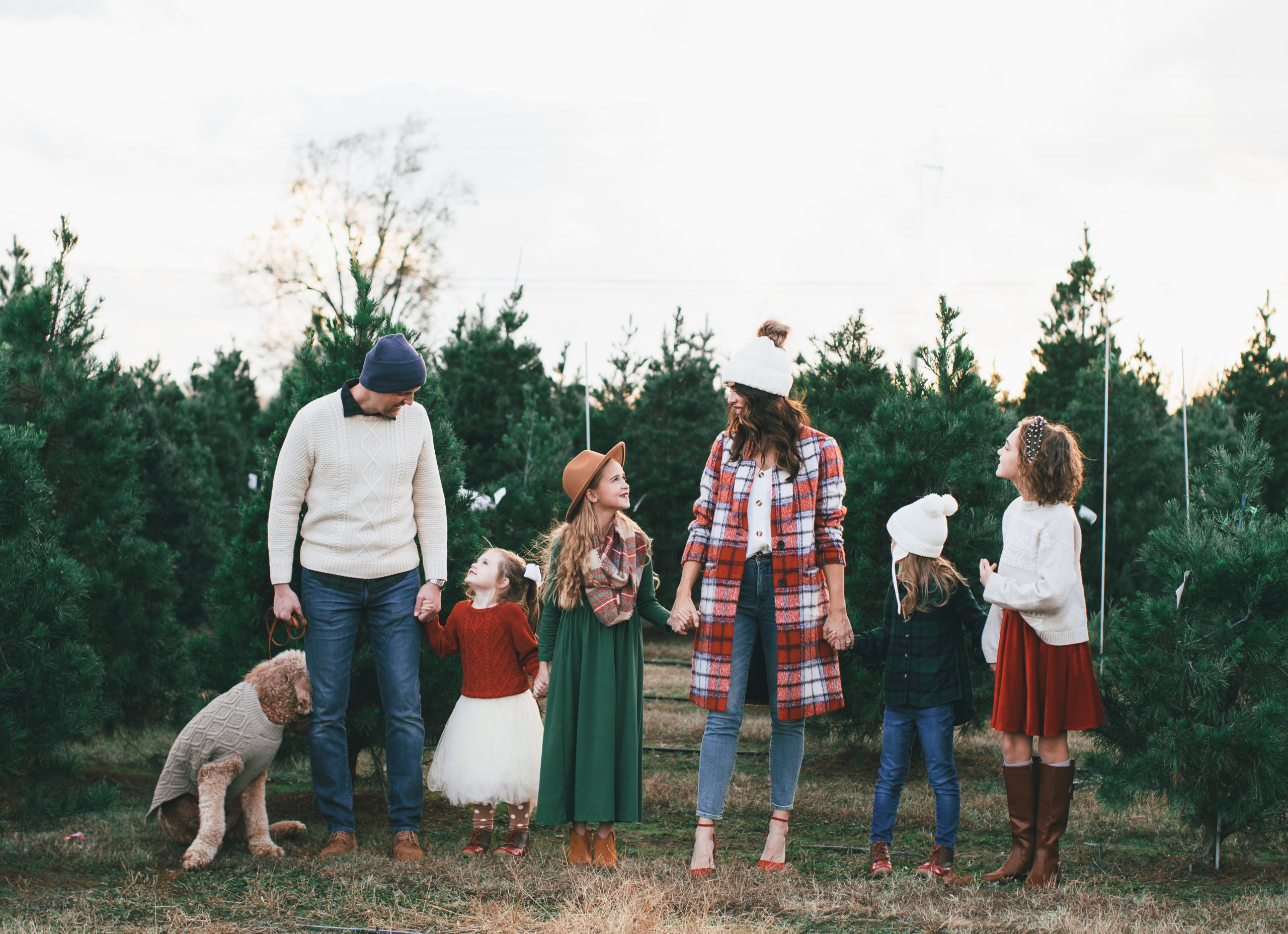Christmas Tree Farm Style: Cable Knit Sweater and Puffer Vest for Family Photos Christmas Tree Farm Style: Cable Knit Sweater and Puffer Vest for Family Photos β Winter Family Photo Outfits
