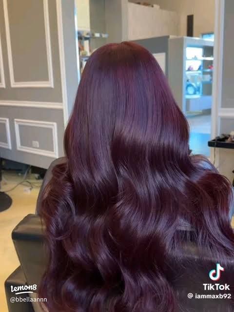 Dark Red With Purple Undertones Visual Idea Dark Red With Purple Undertones Visual Idea β Cherry Cola Hair Color