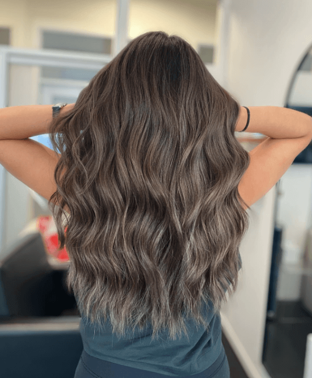 Back View Visual Idea — Fall to Winter Hair Colors