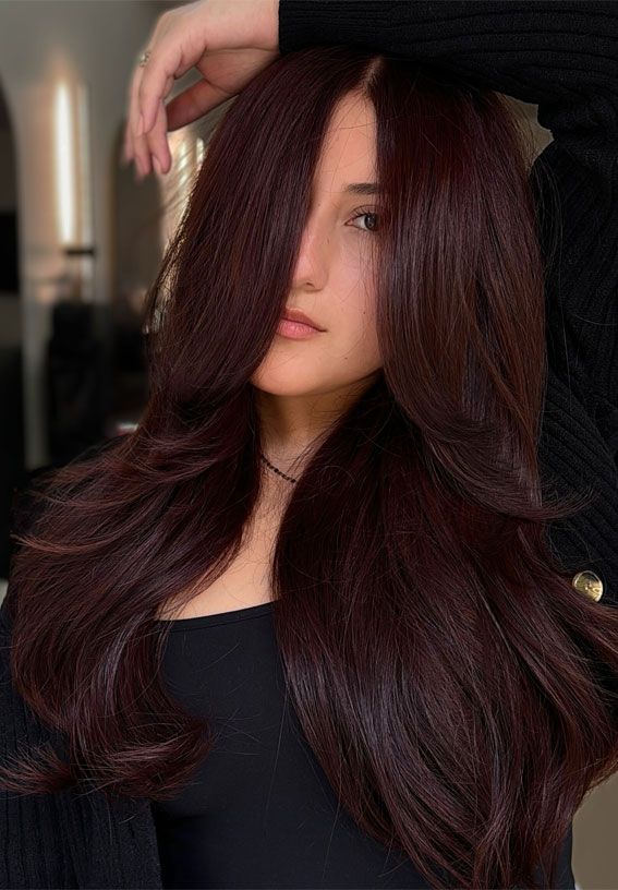 Deep Wine Red Visual Idea Deep Wine Red Visual Idea β Winter Red Hair Colors