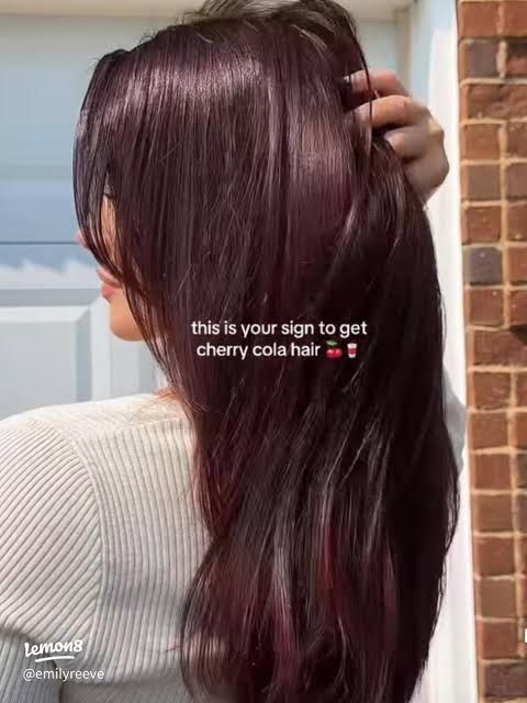 Front View Visual Idea Front View Visual Idea β Cherry Cola Hair Color