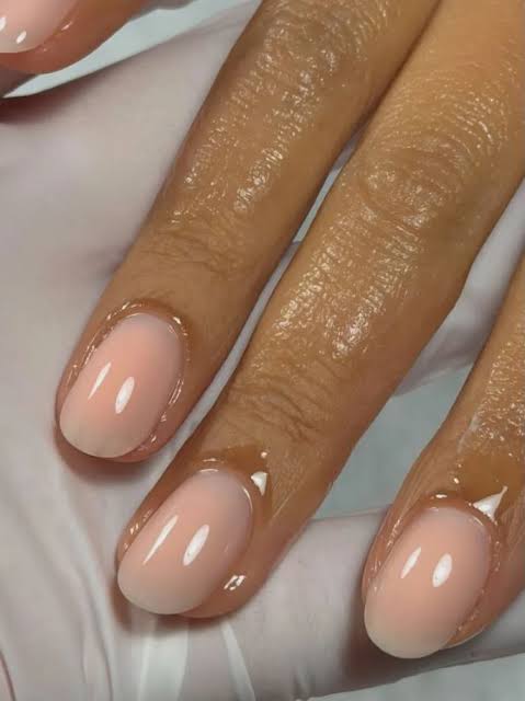 None Visual Idea None Visual Idea β Winter Nude Nails