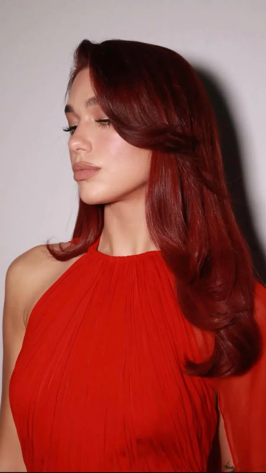 Layers Visual Idea Layers Visual Idea β Cherry Cola Hair Color