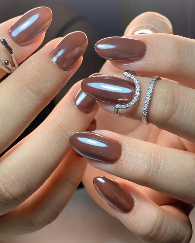 Glossy Slightly Metallic Sheen Visual Idea — Mocha Nails