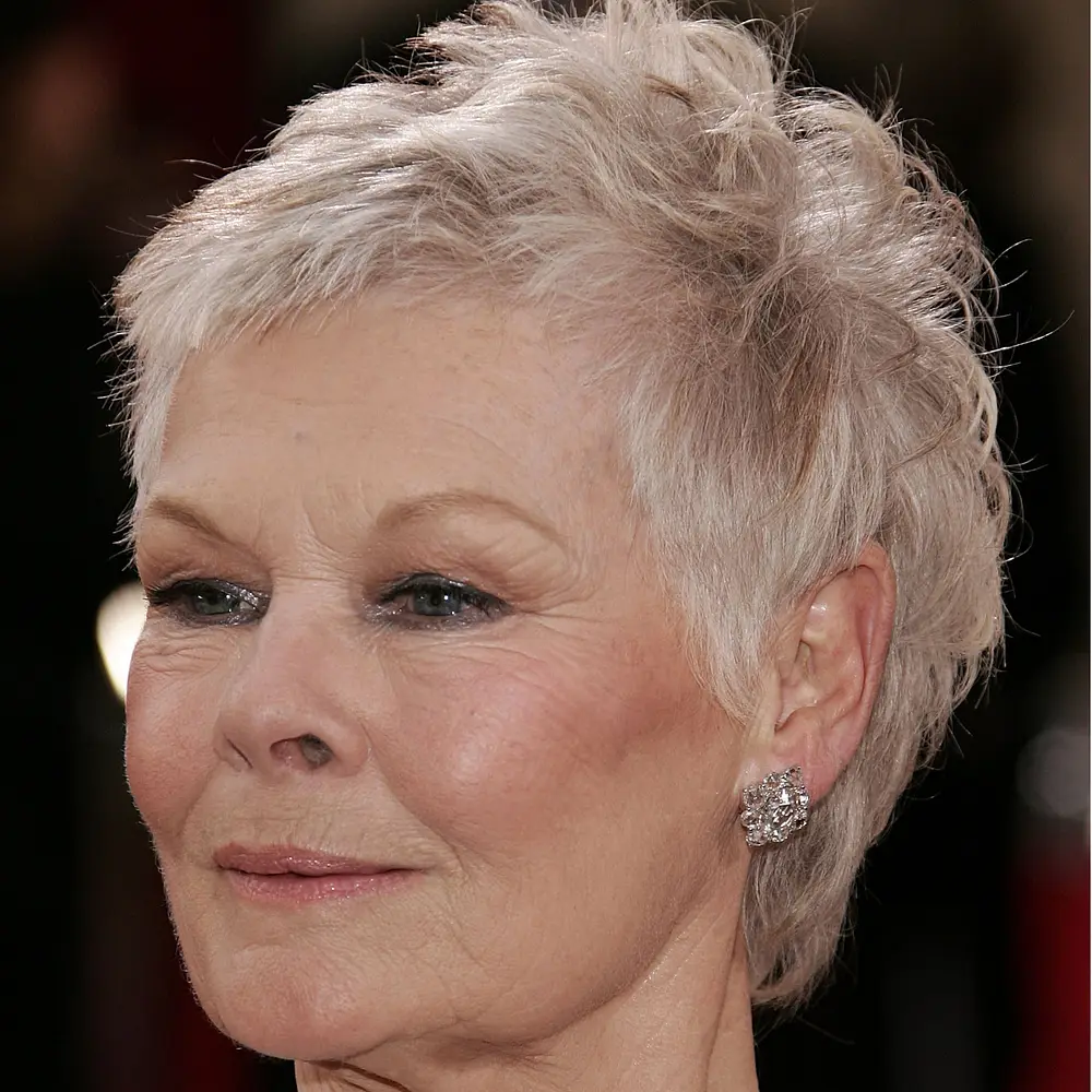 Light Silver-Grey Cropped Pixie Light Silver-Grey Cropped Pixie β Winter Haircuts for Gray Hair