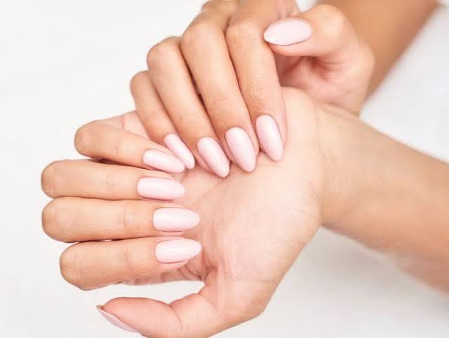 Matte Pale Pink Oval Nails Matte Pale Pink Oval Nails β Short Winter Oval Nails