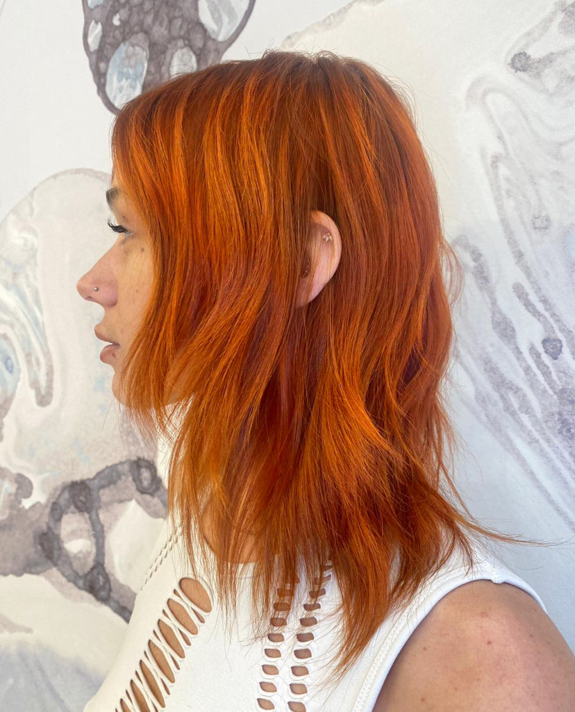 Shag Visual Idea Shag Visual Idea β Winter Copper Hair Color