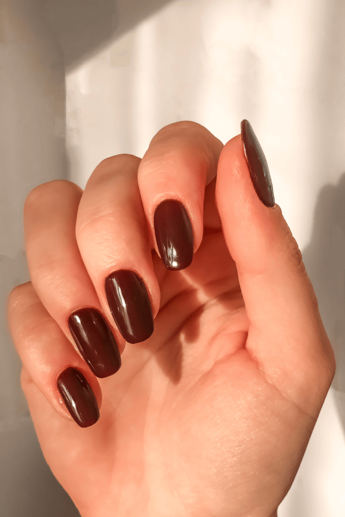 Deep Brown Visual Idea Deep Brown Visual Idea β Old Money Winter Nails
