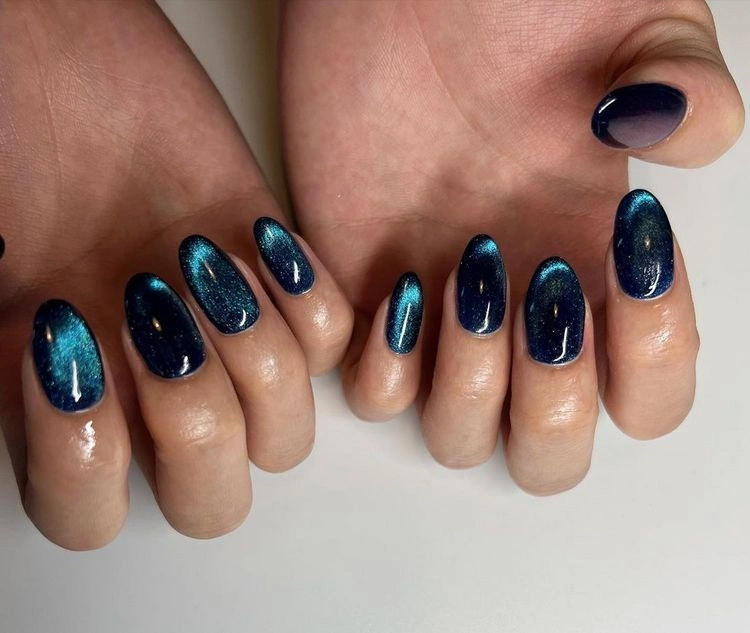 Cat Eye Glossy Visual Idea — Winter Gel Nail Colors