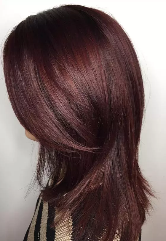 Deep Mahogany With Red And Brown Undertones — Mahogany Hair Color