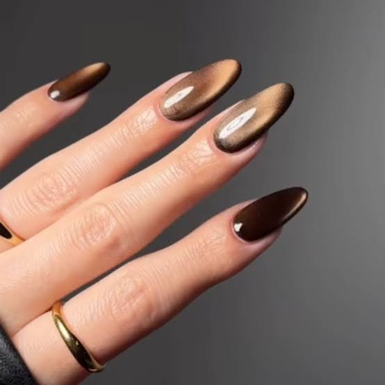 Chocolate Brown Velvet Cat Eye — velvet nails